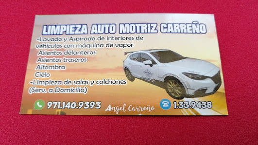 Limpieza Auto Motriz Carreño